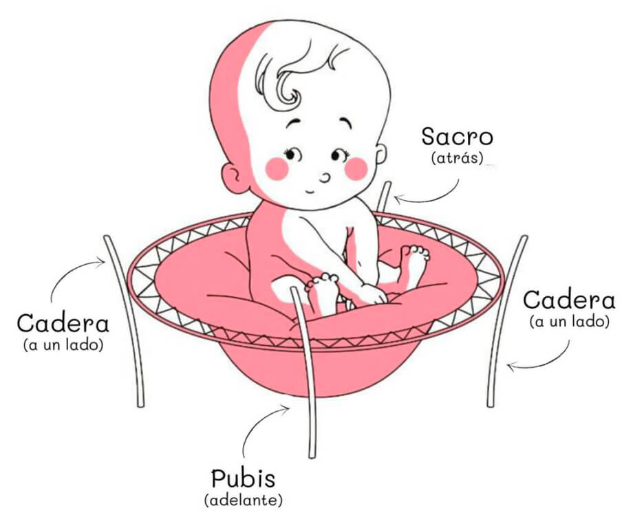 Sacro, cadera, pubis